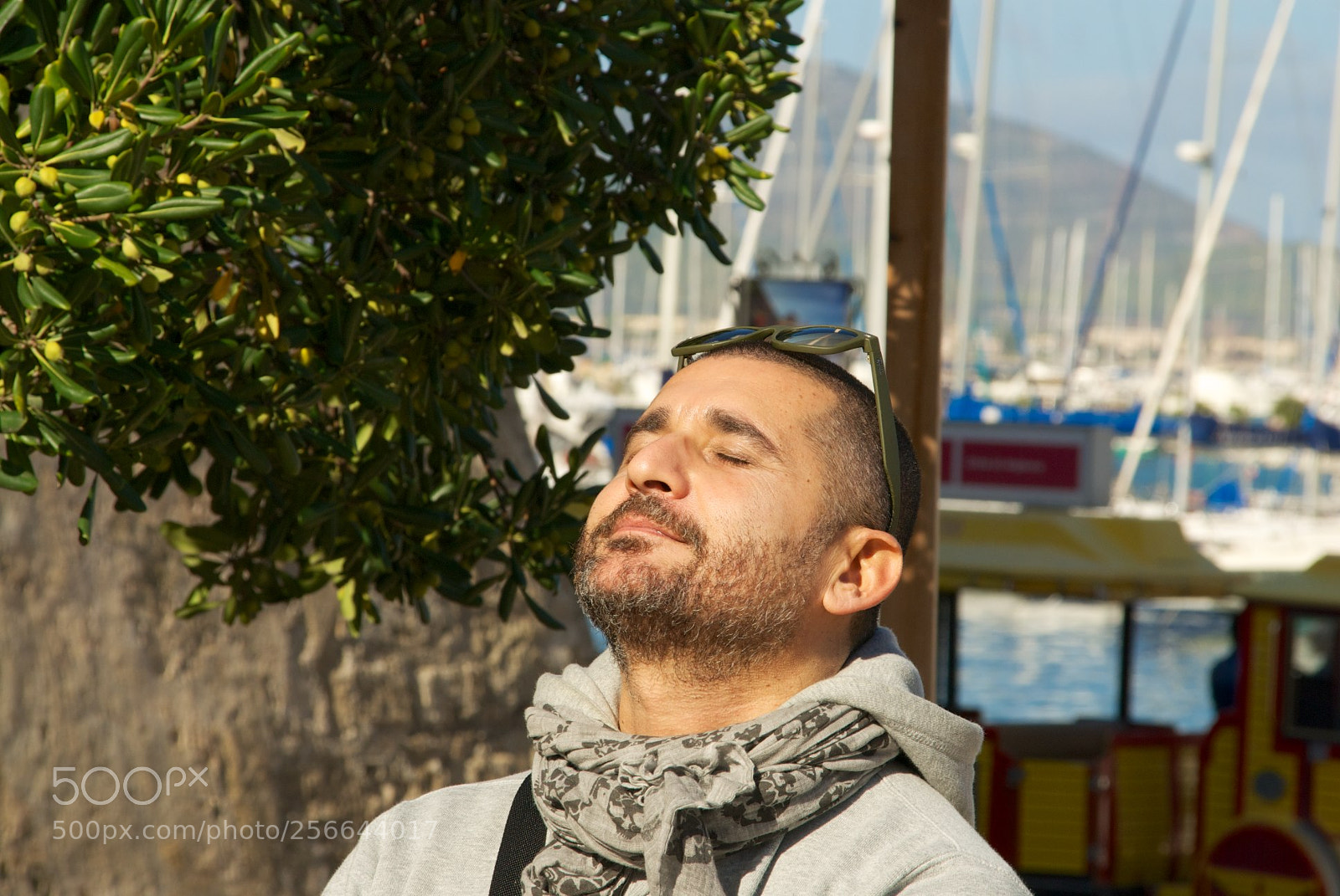 Nikon D60 sample photo. Version photography