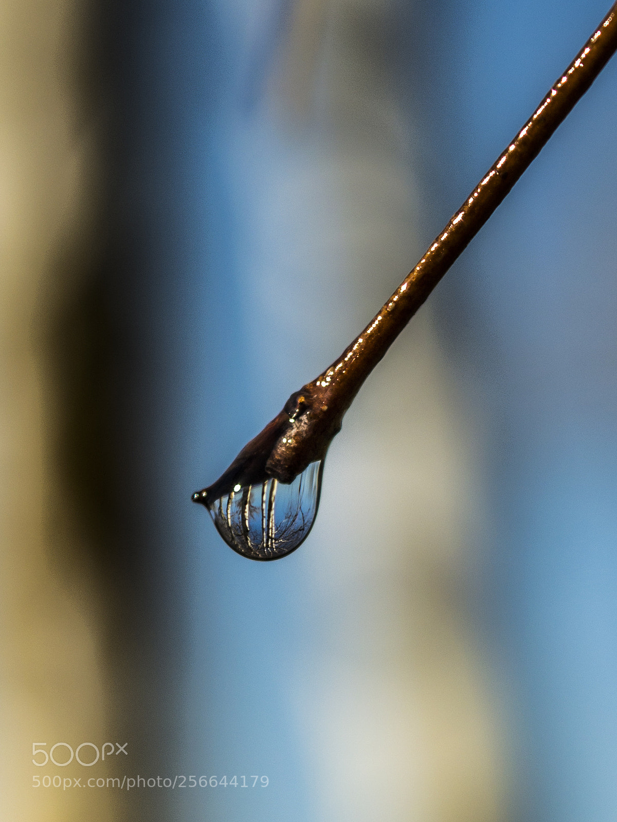 Nikon D3200 sample photo. Upside down photography