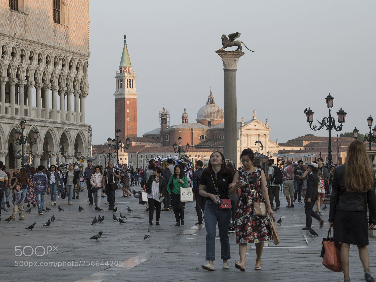 Canon EOS 760D (EOS Rebel T6s / EOS 8000D) sample photo. Venice (italy)  photography