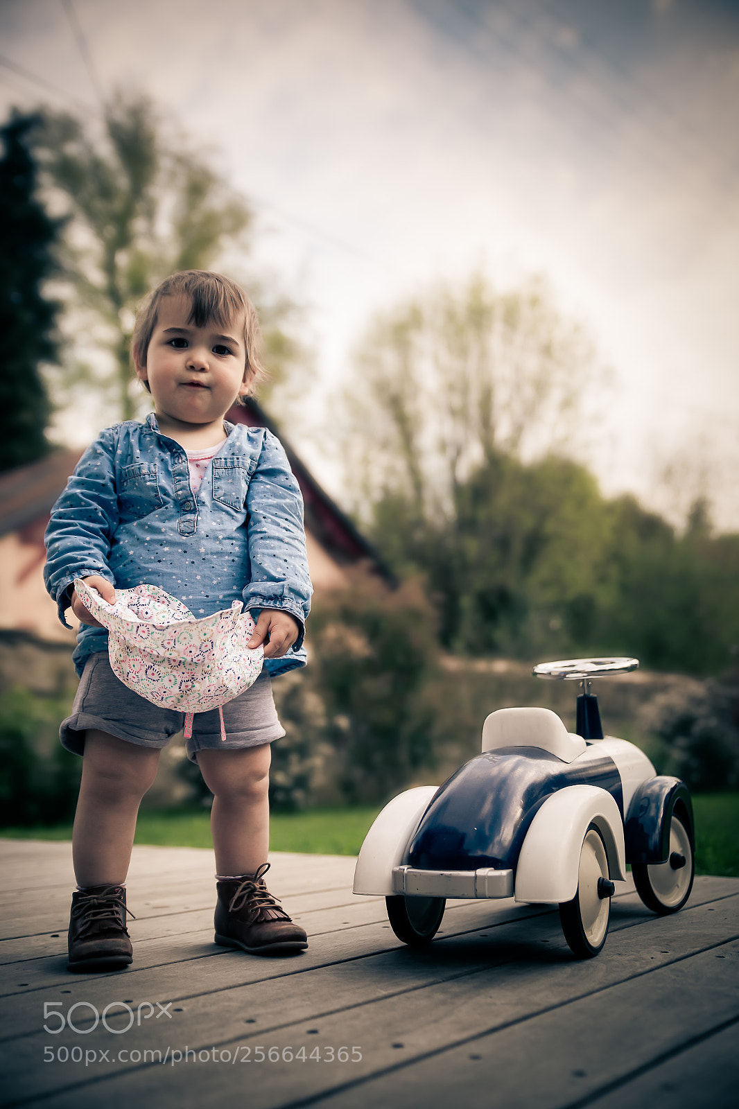 Canon EOS 6D sample photo. Driver photography