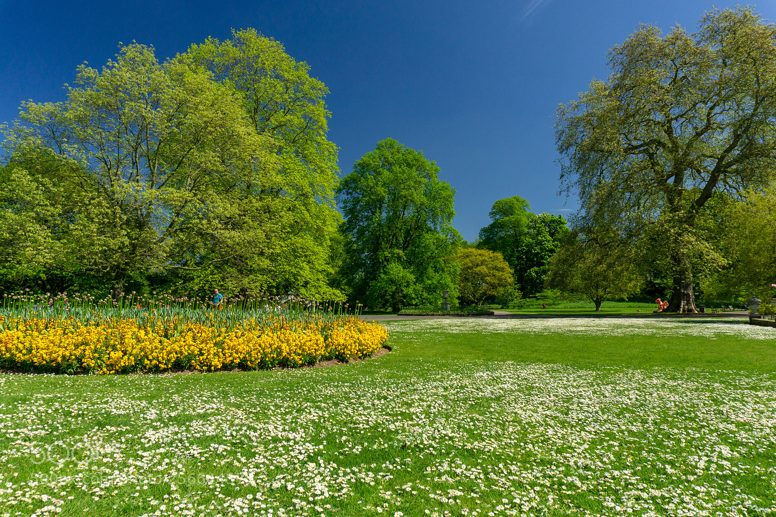 Sony a6000 sample photo. Kew gardens photography