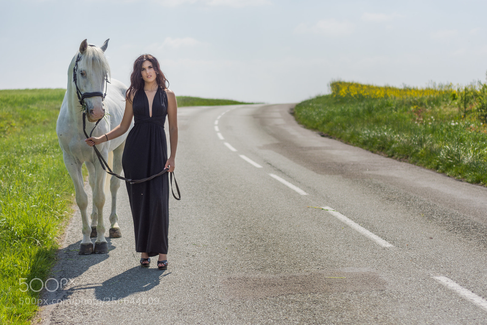 Nikon D7200 sample photo. En route photography