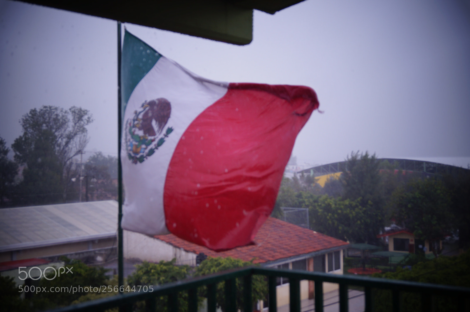 Sony SLT-A37 sample photo. México! photography
