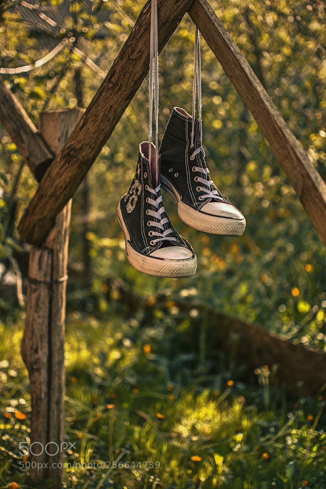 Nikon D7200 sample photo. Garden photography