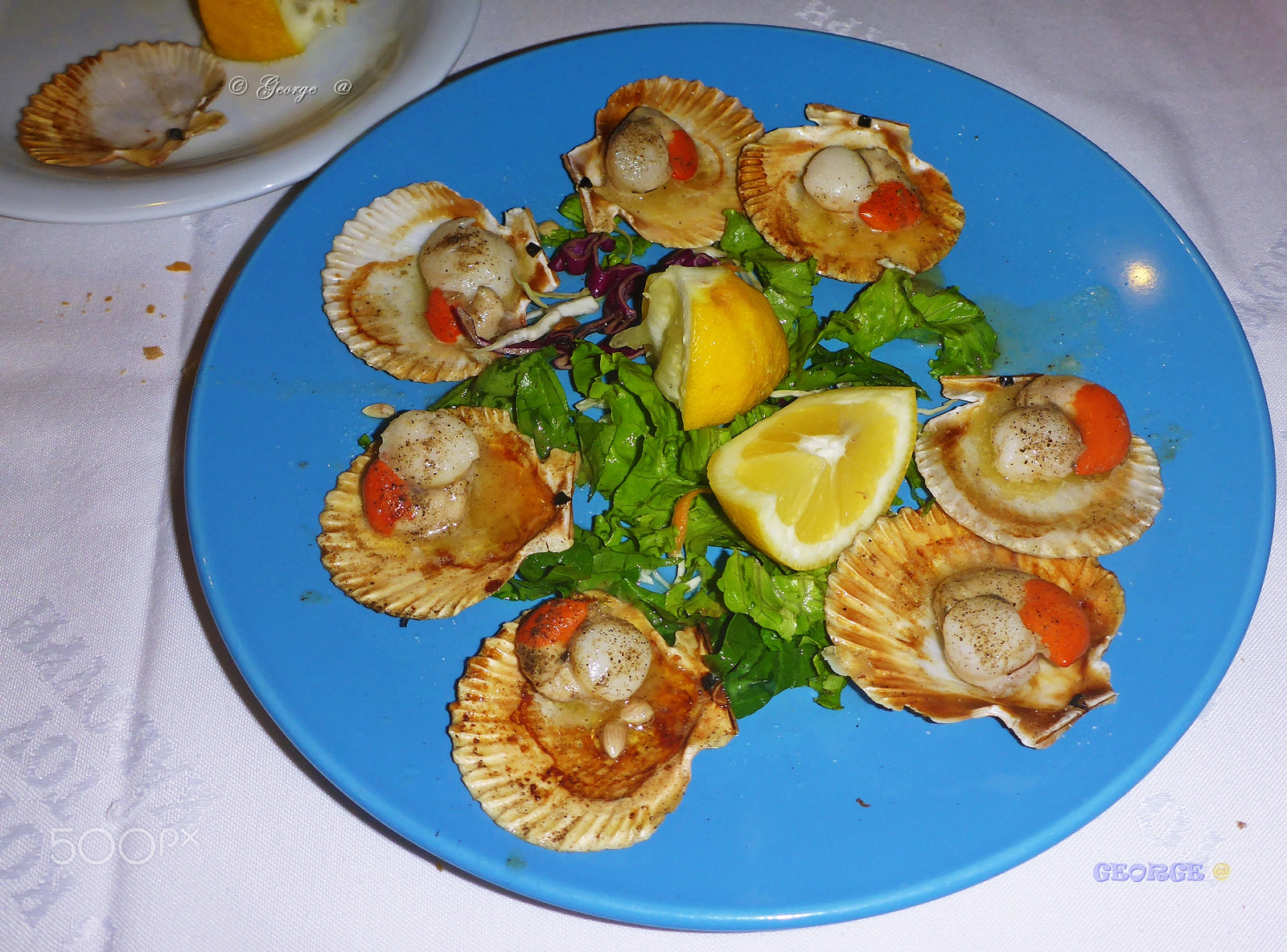 Panasonic Lumix DMC-TS5 (Lumix DMC-FT5) sample photo. The best sea food photography