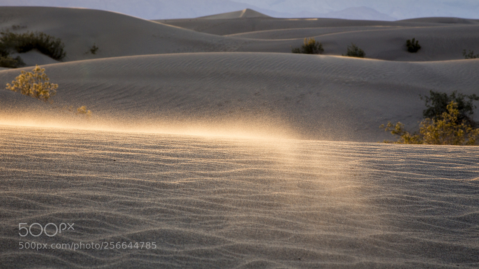Canon EOS 6D sample photo. Death valley photography