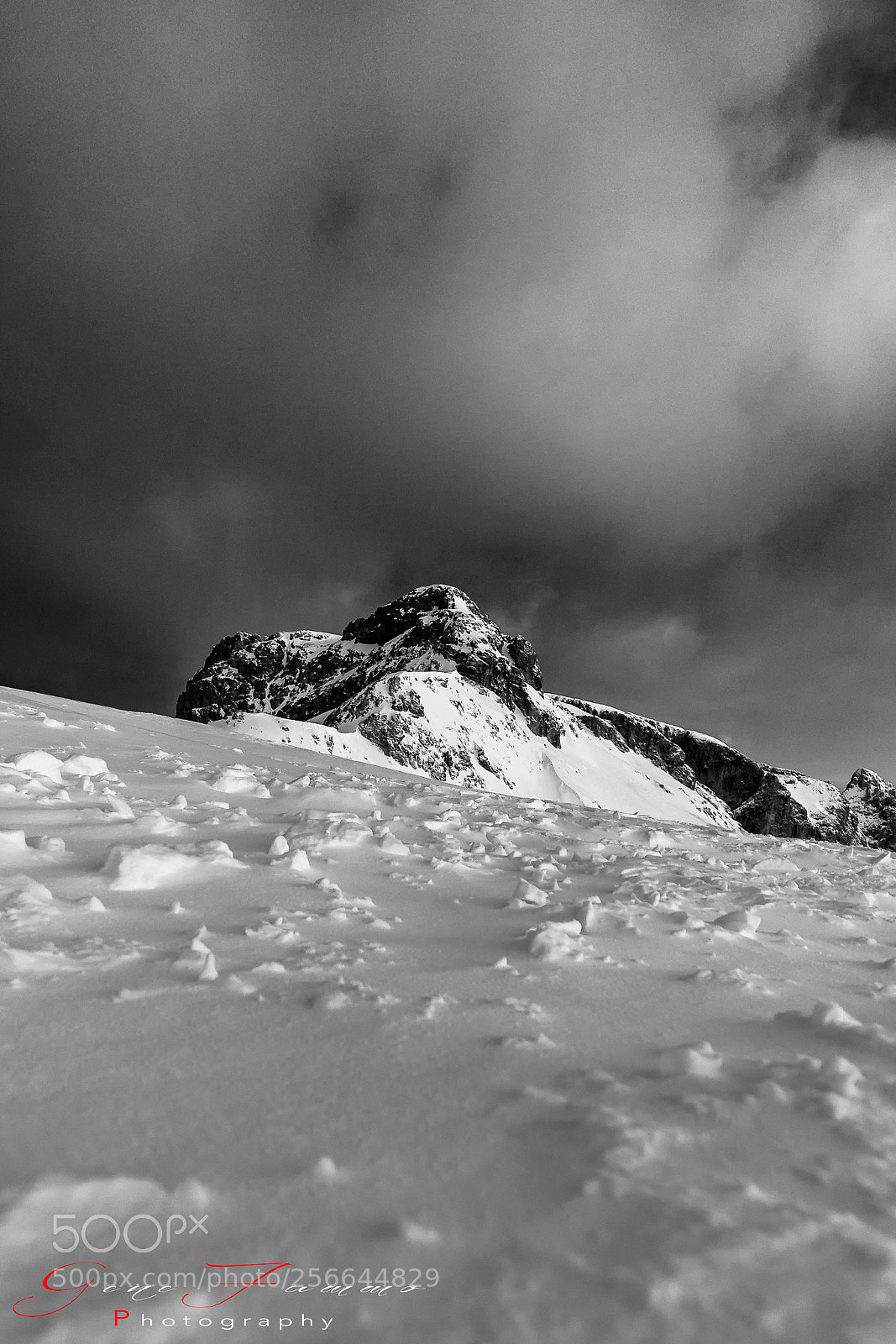 Canon EOS 5D Mark II sample photo. Snow photography