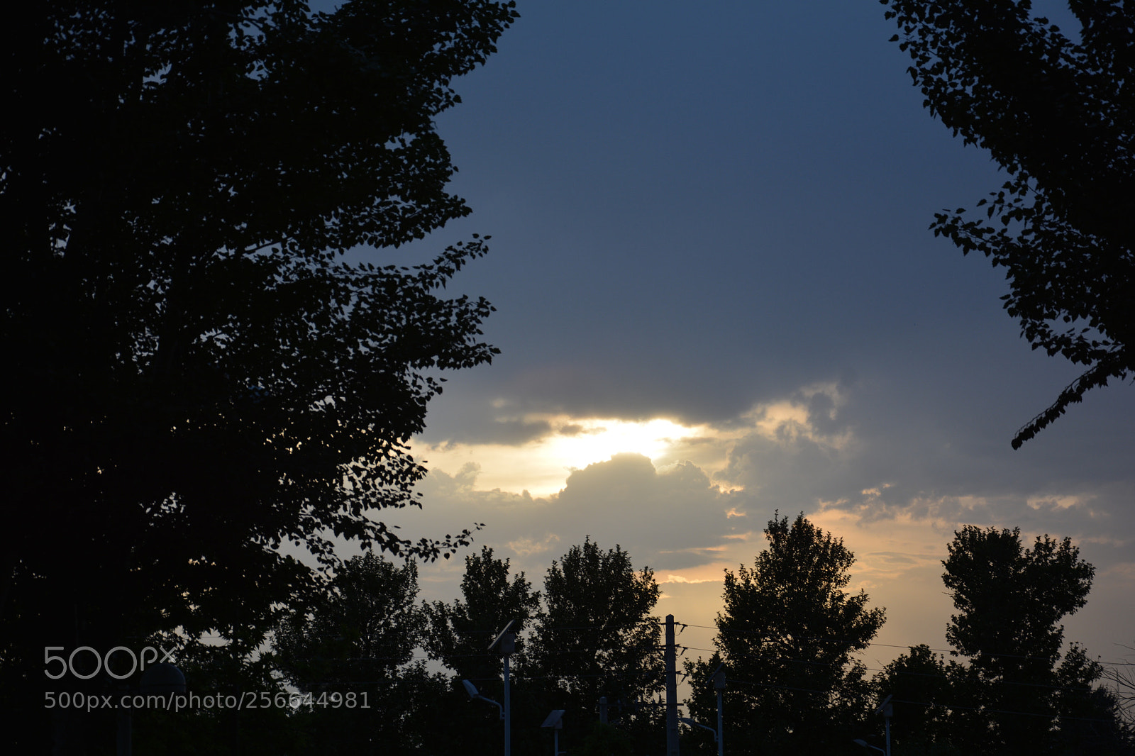 Nikon D7100 sample photo. Untitled photography
