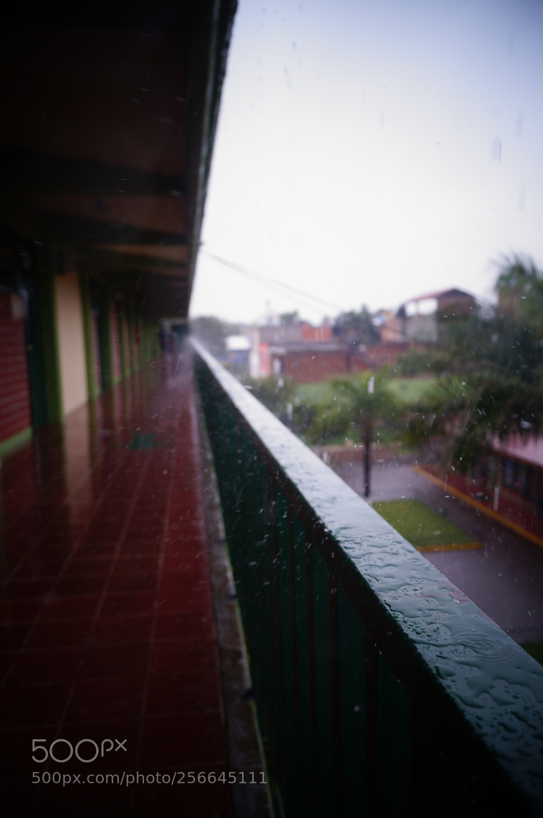 Sony SLT-A37 sample photo. Look to myself photography