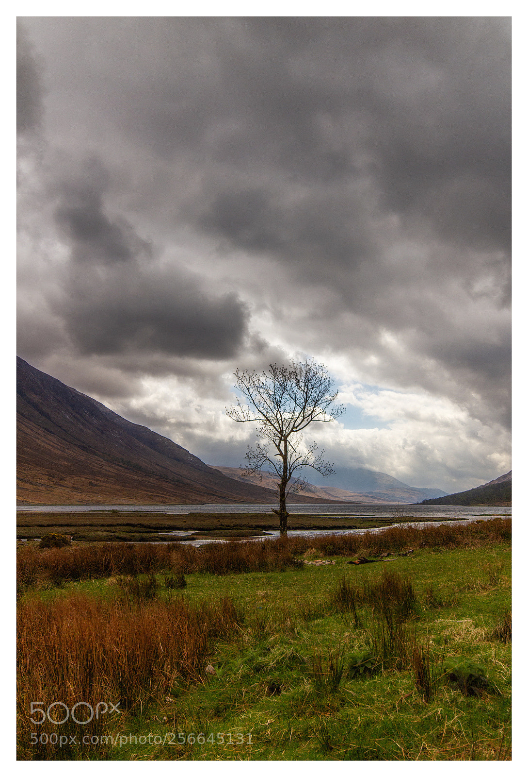 Canon EOS 7D sample photo. Loch etive photography