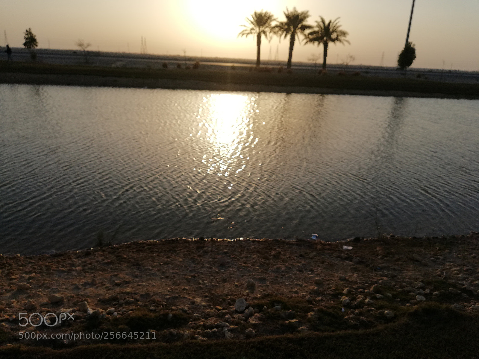 HUAWEI Mate 10 Lite sample photo. Dav photography
