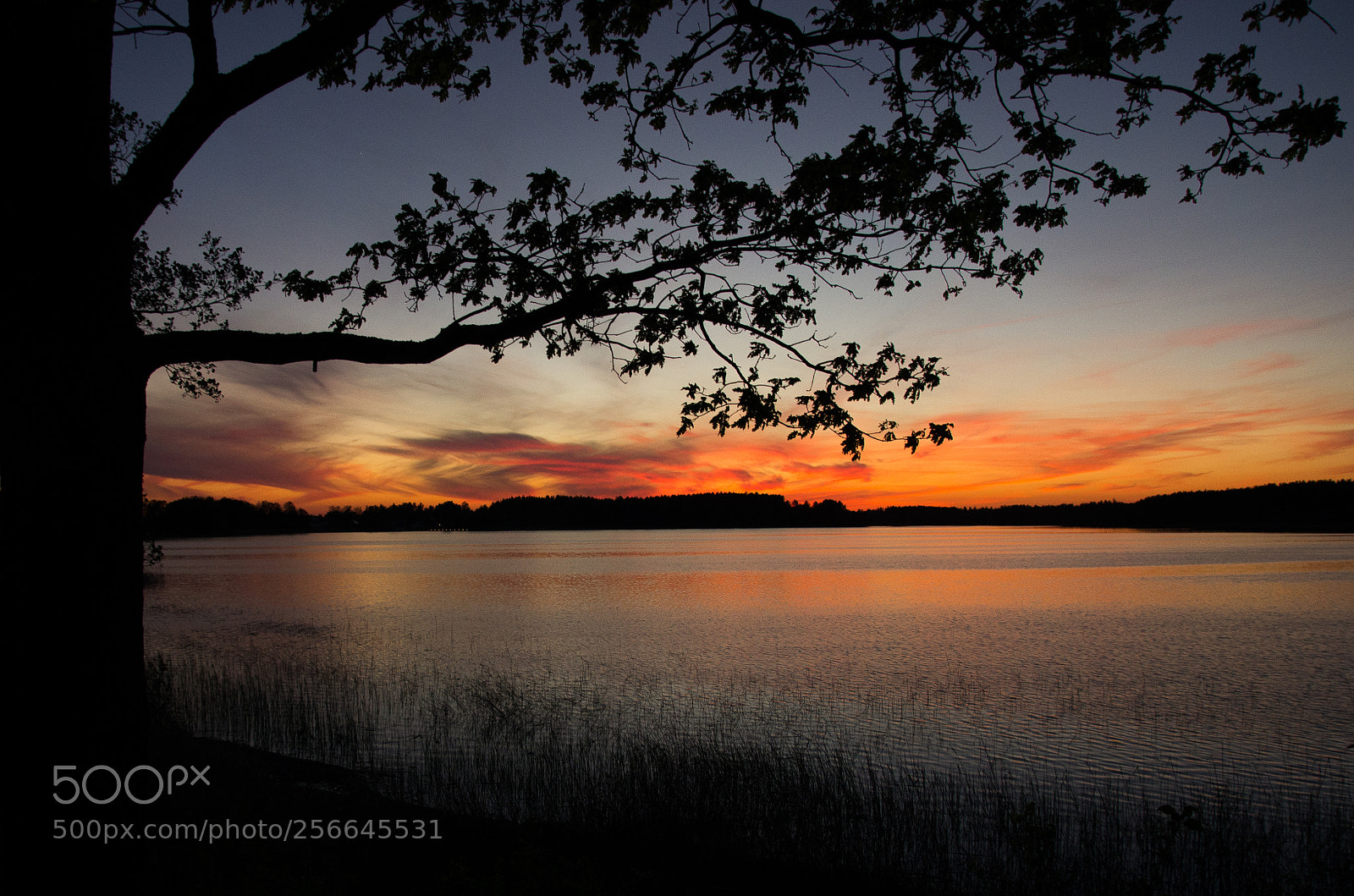 Pentax K-5 sample photo. Sunset over lake and photography