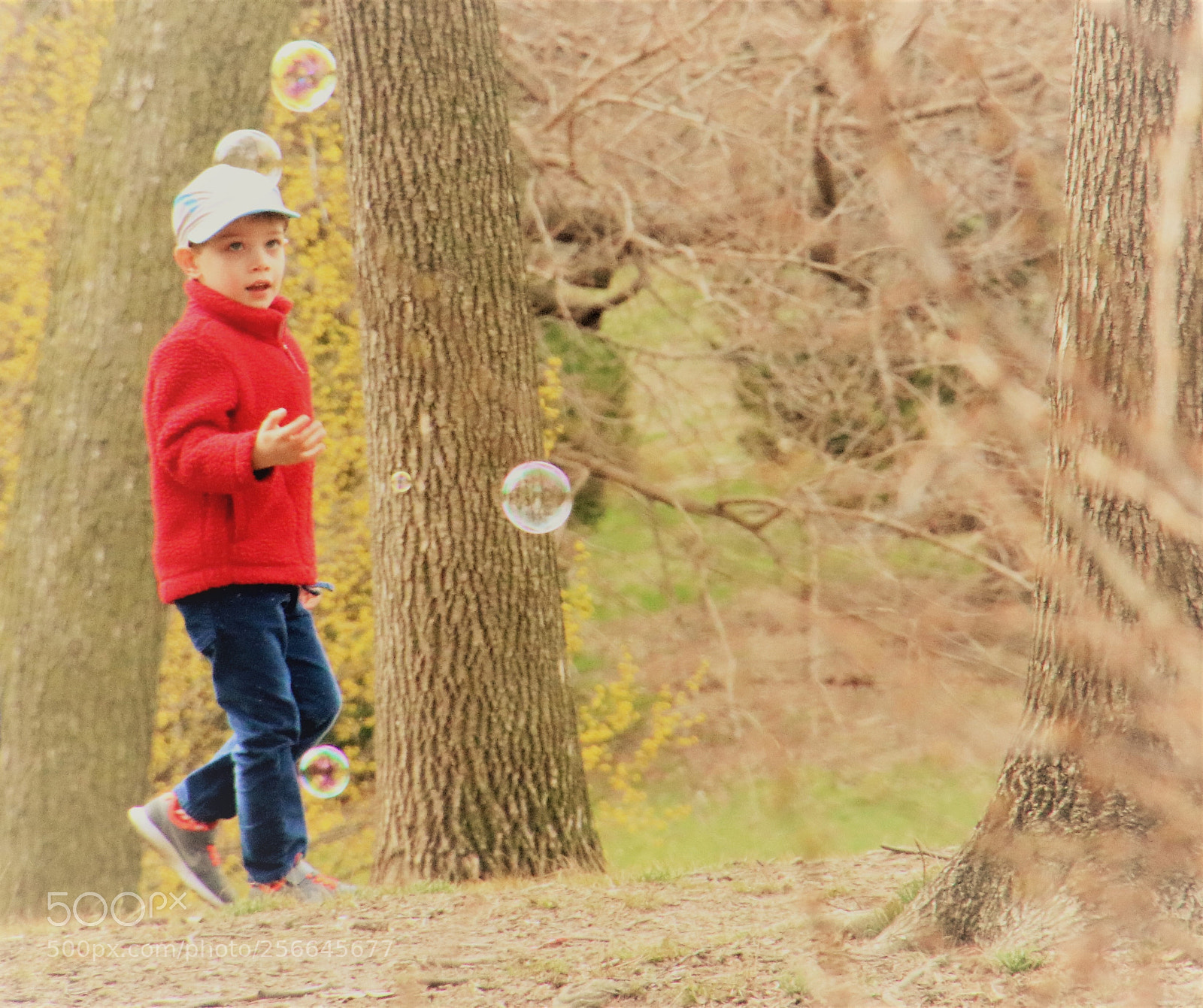 Canon EOS 760D (EOS Rebel T6s / EOS 8000D) sample photo. Following the dancing orb photography