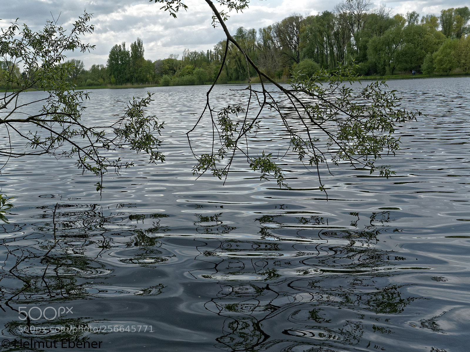 Olympus OM-D E-M5 sample photo. Bs, südsee photography
