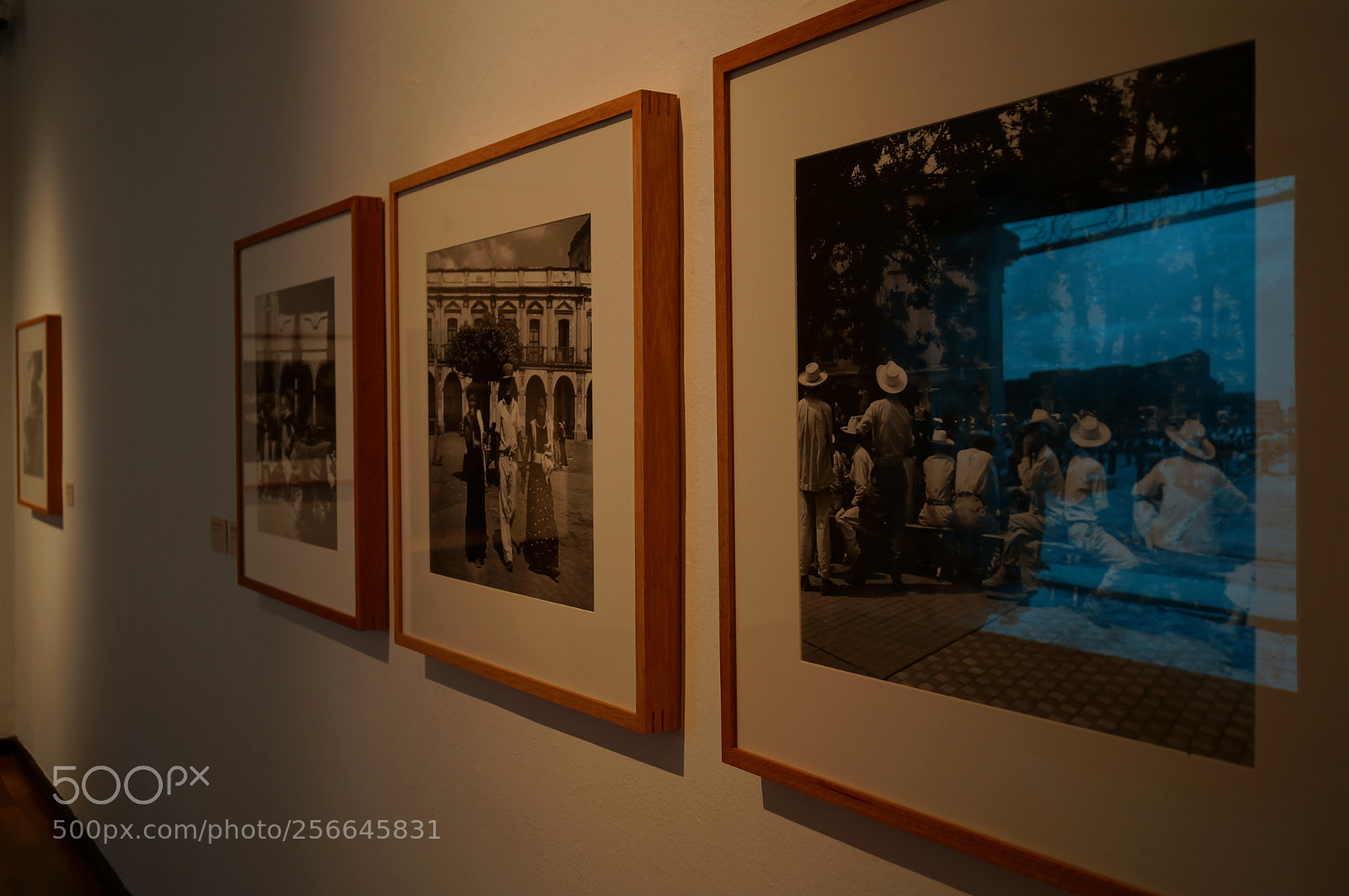 Sony SLT-A37 sample photo. Look at that art photography