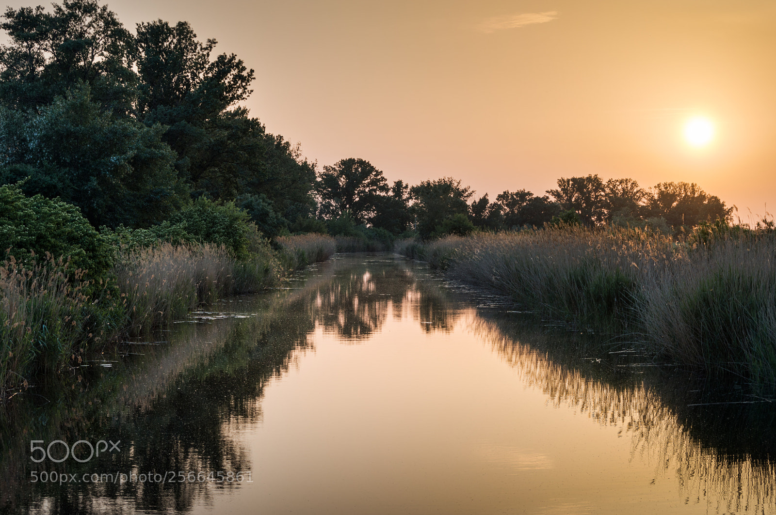 Nikon D3200 sample photo. Sunset photography