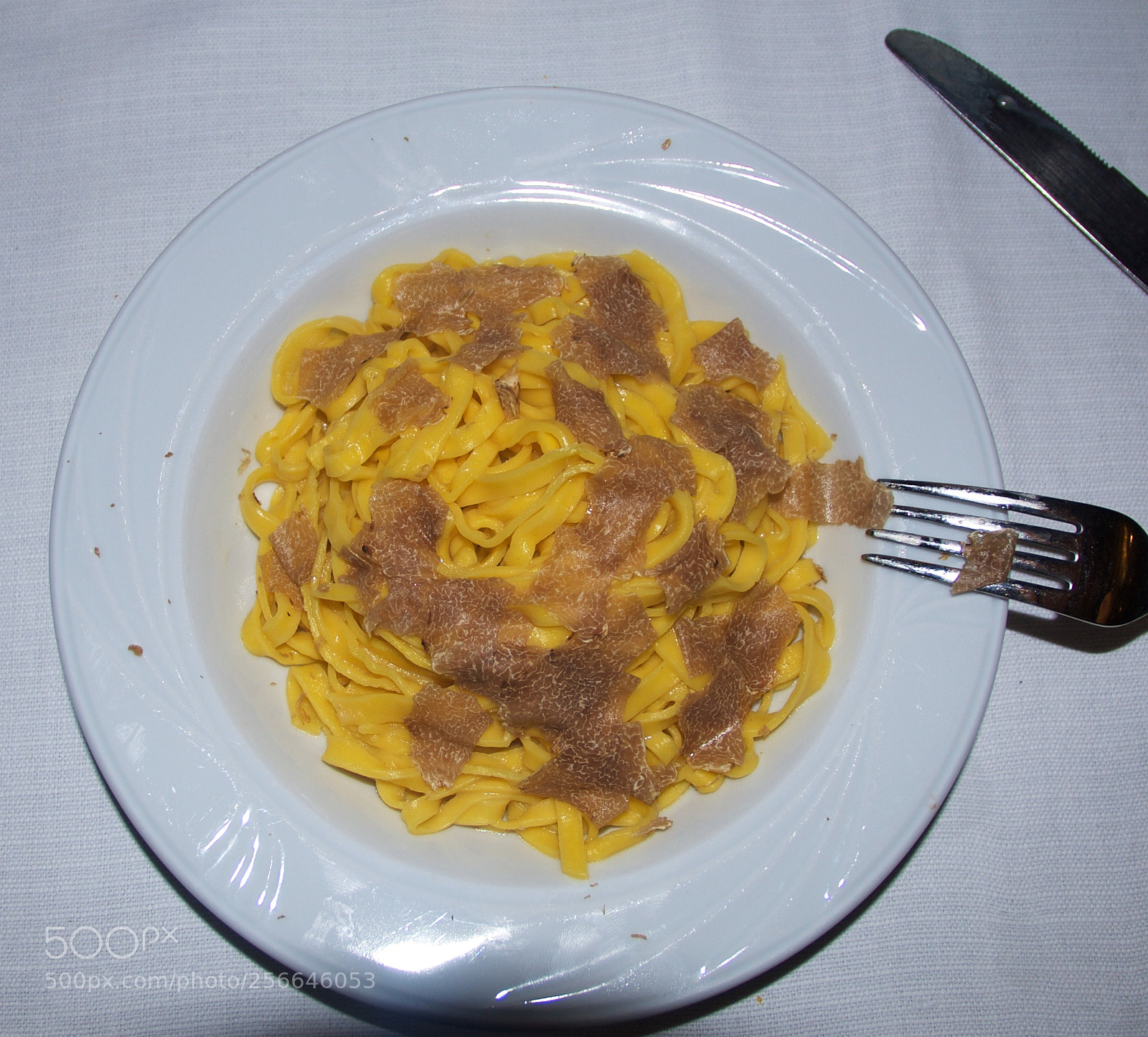 Nikon D60 sample photo. Version photography