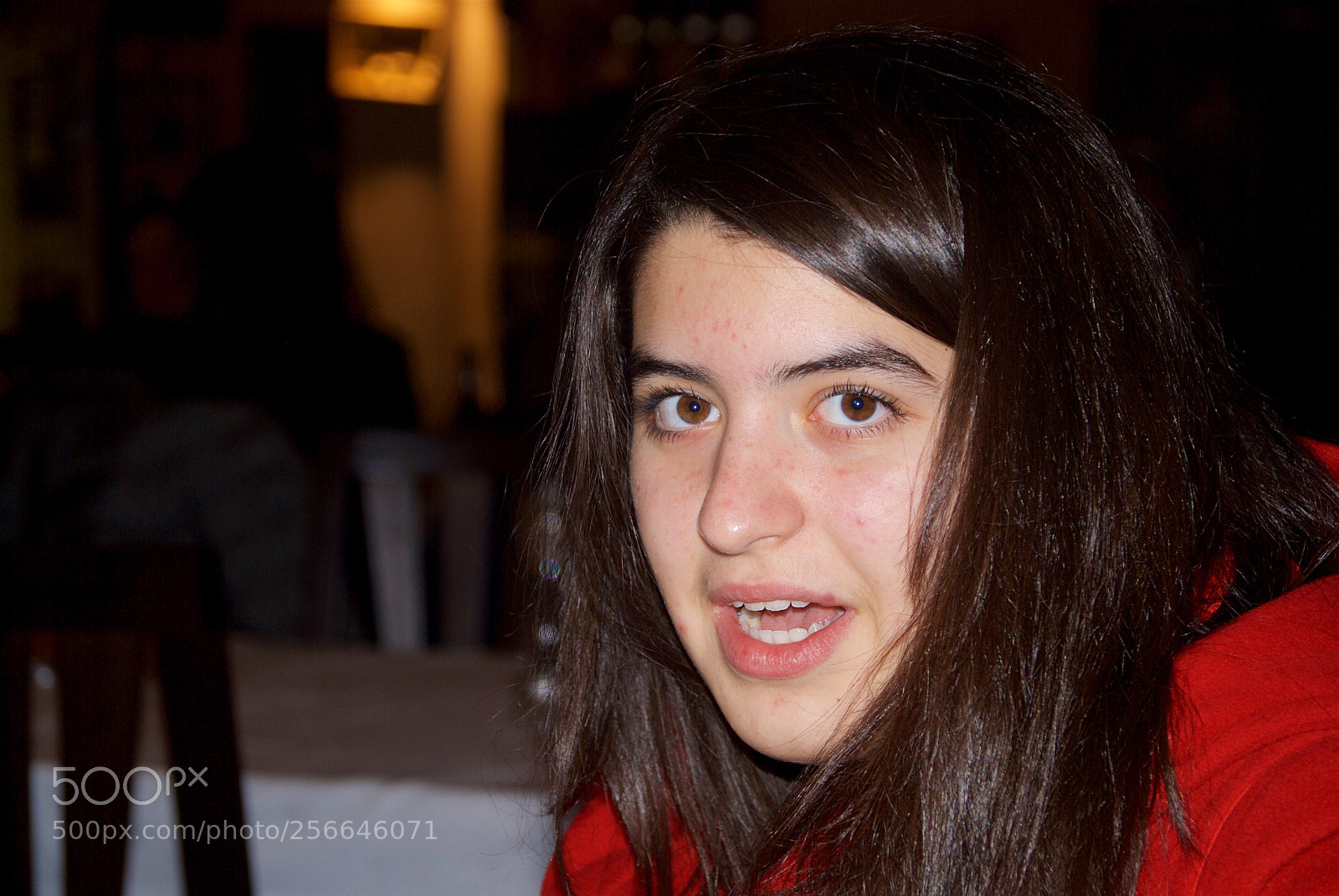 Nikon D60 sample photo. Version photography