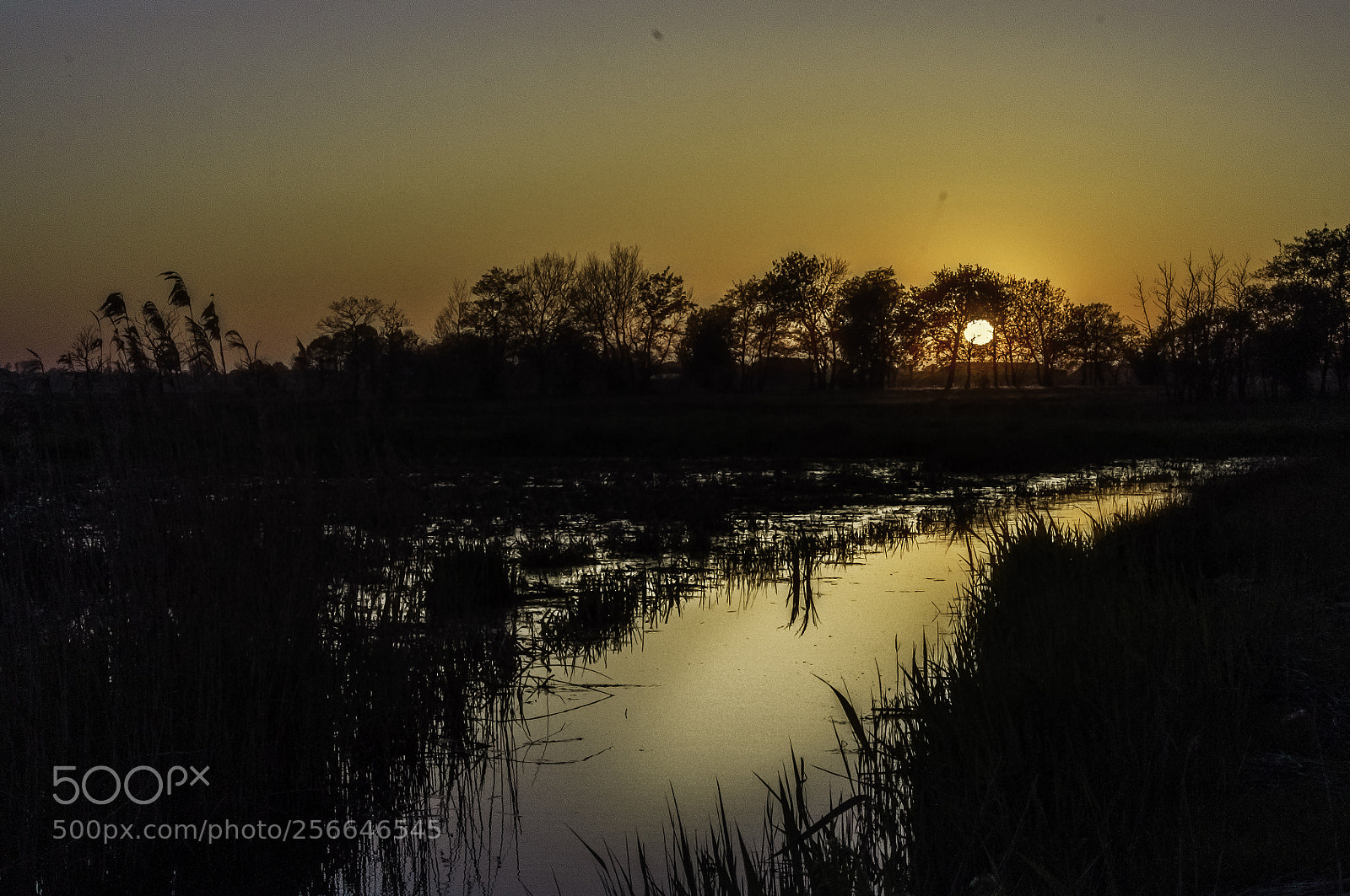 Nikon D5000 sample photo. Sundown photography