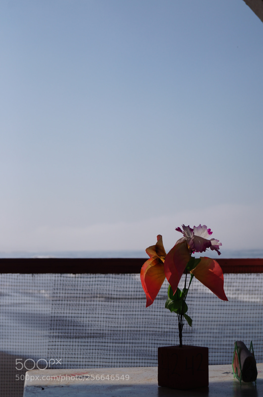 Sony SLT-A37 sample photo. Match the sea photography