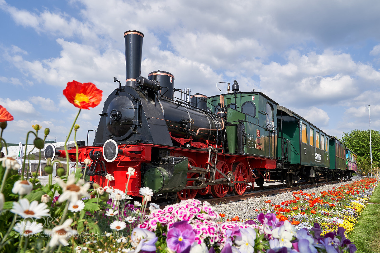 Sony a7 III sample photo. Flower train photography