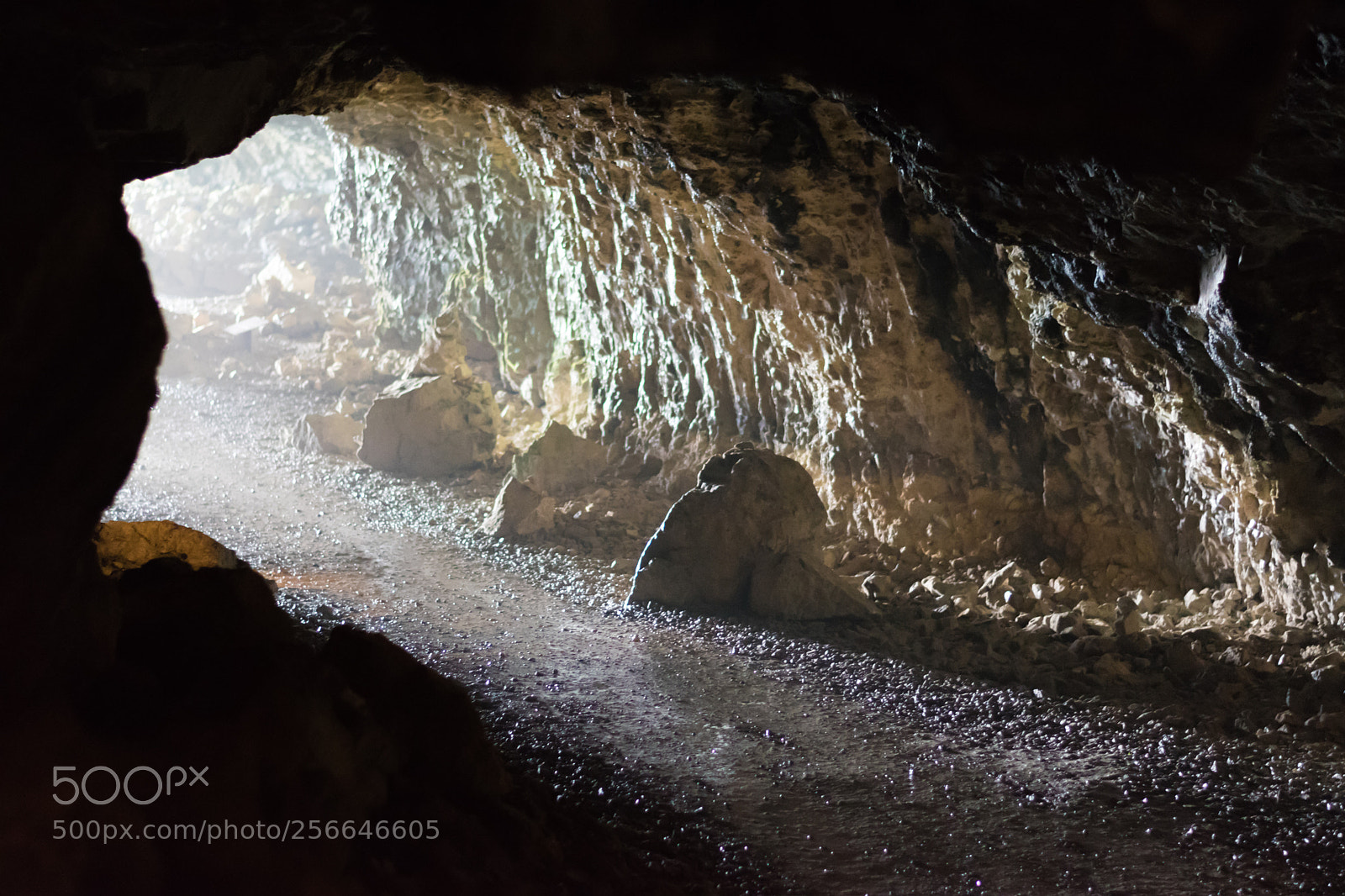 Nikon D5600 sample photo. There is light at photography