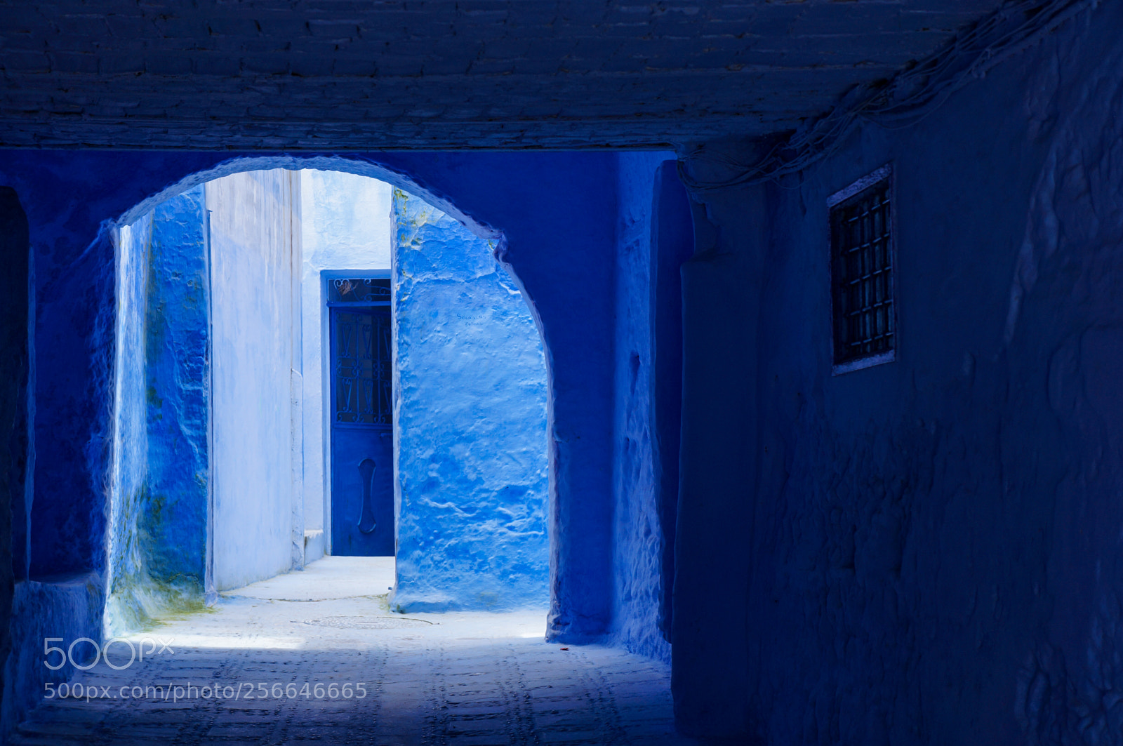 Sony Alpha NEX-5N sample photo. Blue photography