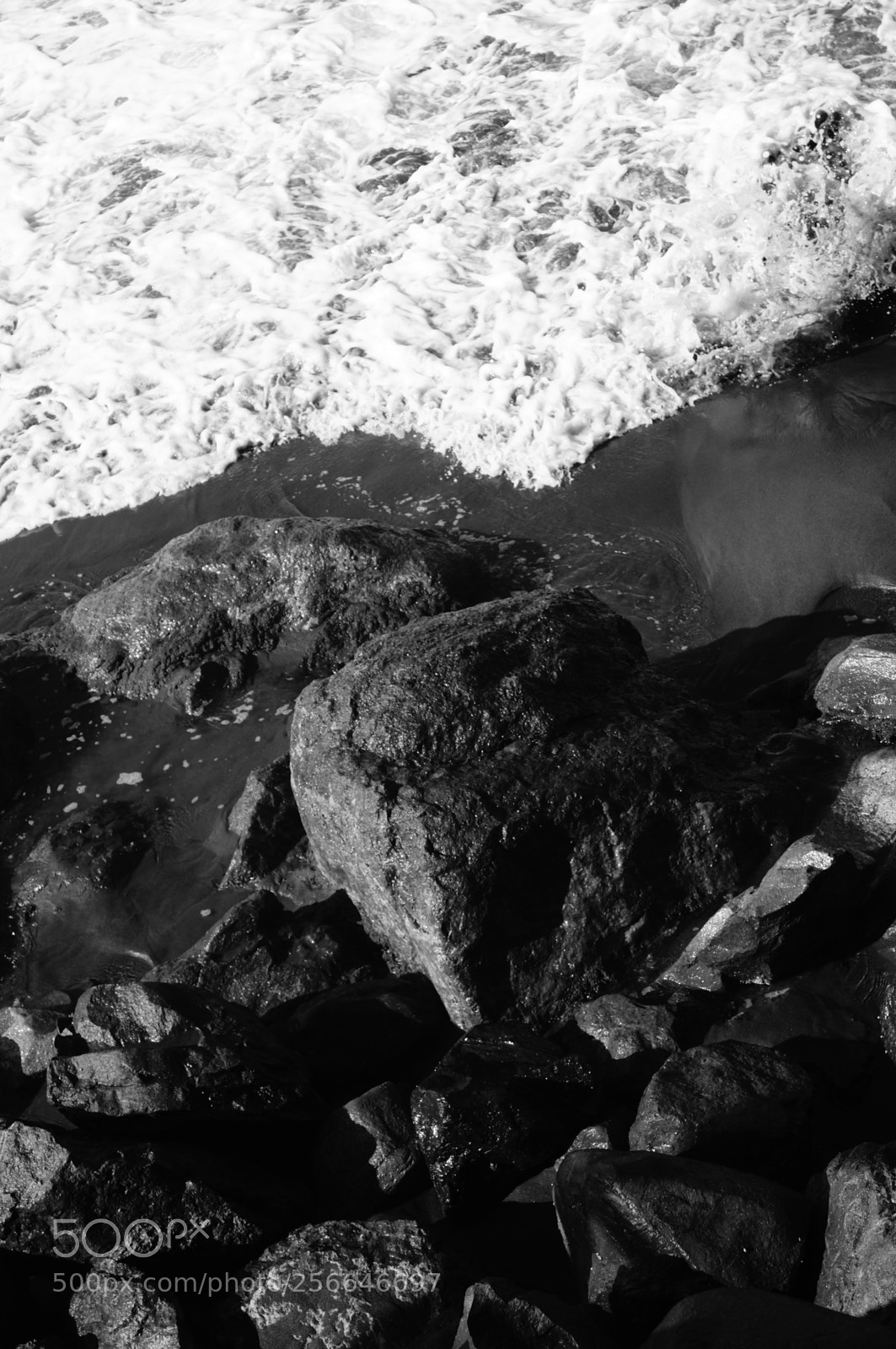 Sony SLT-A37 sample photo. We can saw the photography