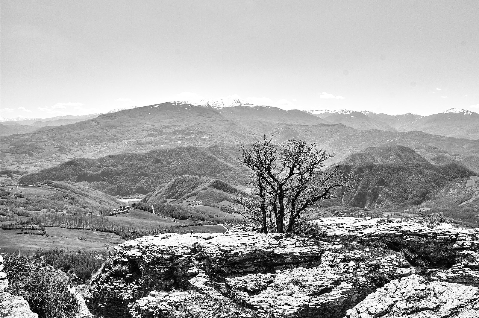 Canon EOS 650D (EOS Rebel T4i / EOS Kiss X6i) sample photo. Tree in the mountain photography