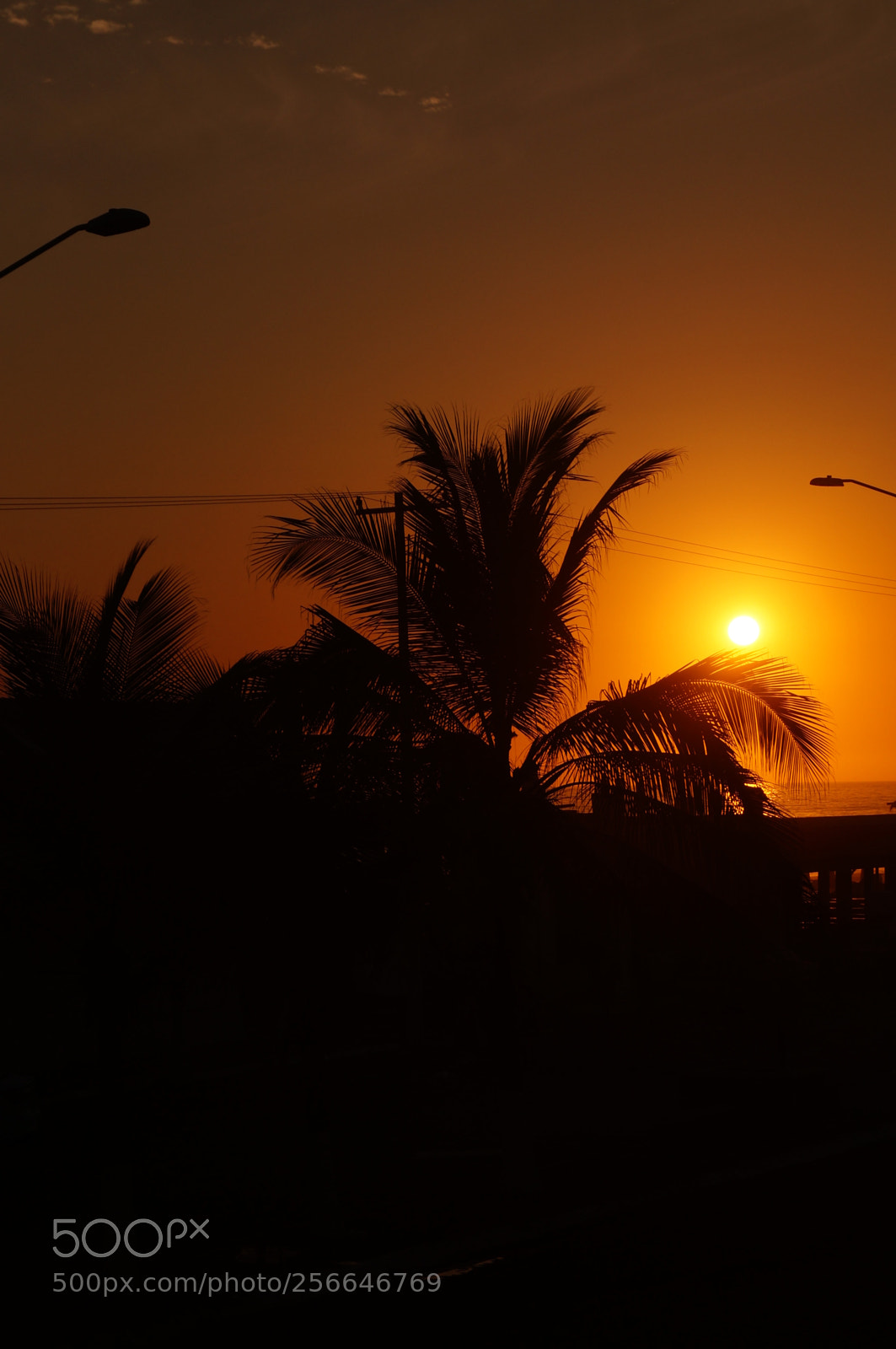 Sony SLT-A37 sample photo. Sunlight photography