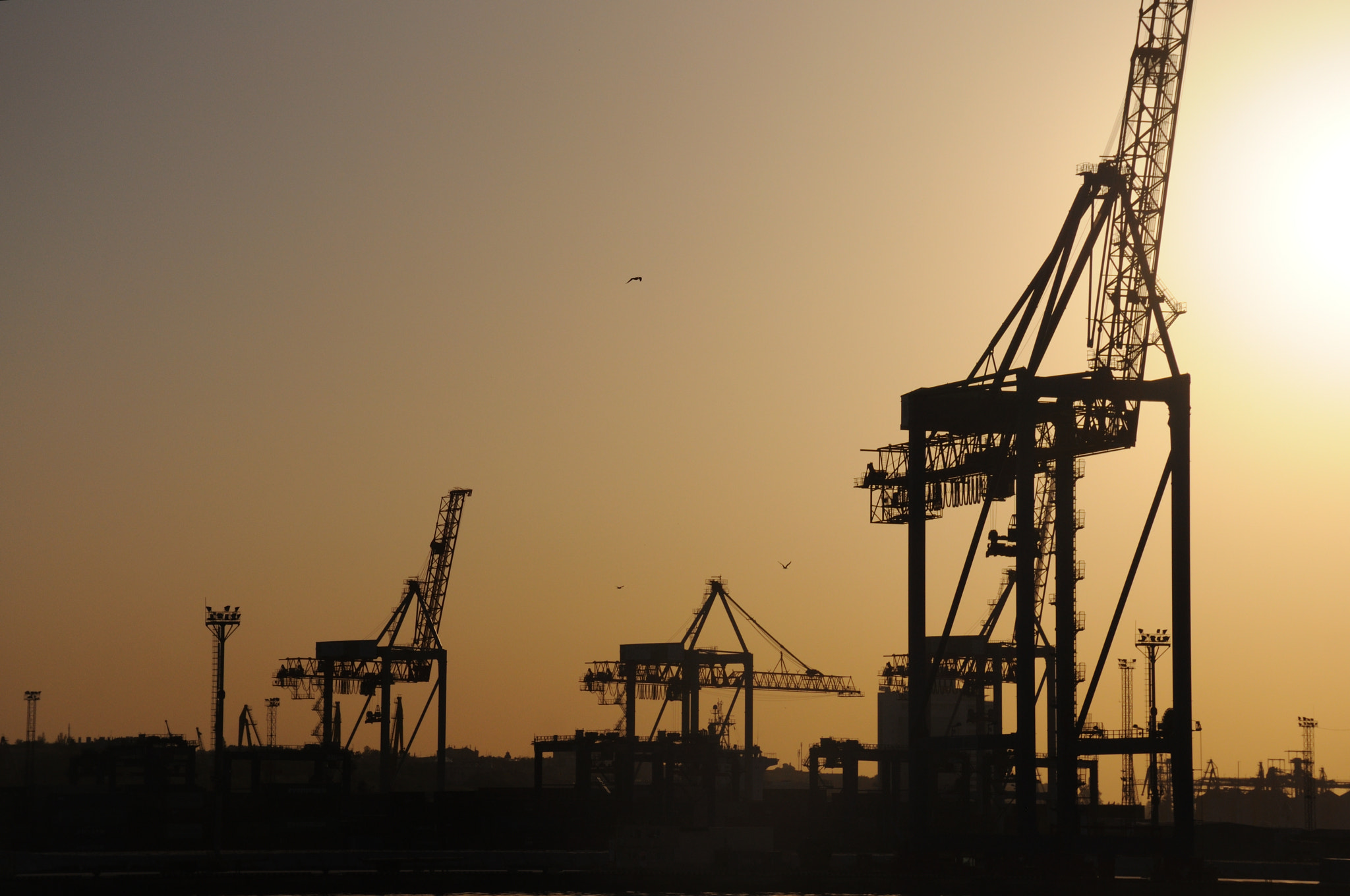 Nikon D5000 sample photo. Offshore series photography