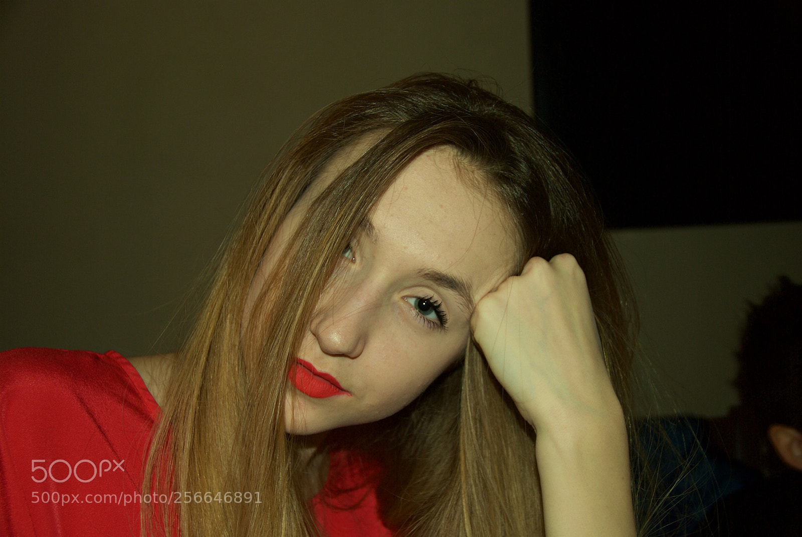 Nikon D60 sample photo. Version photography