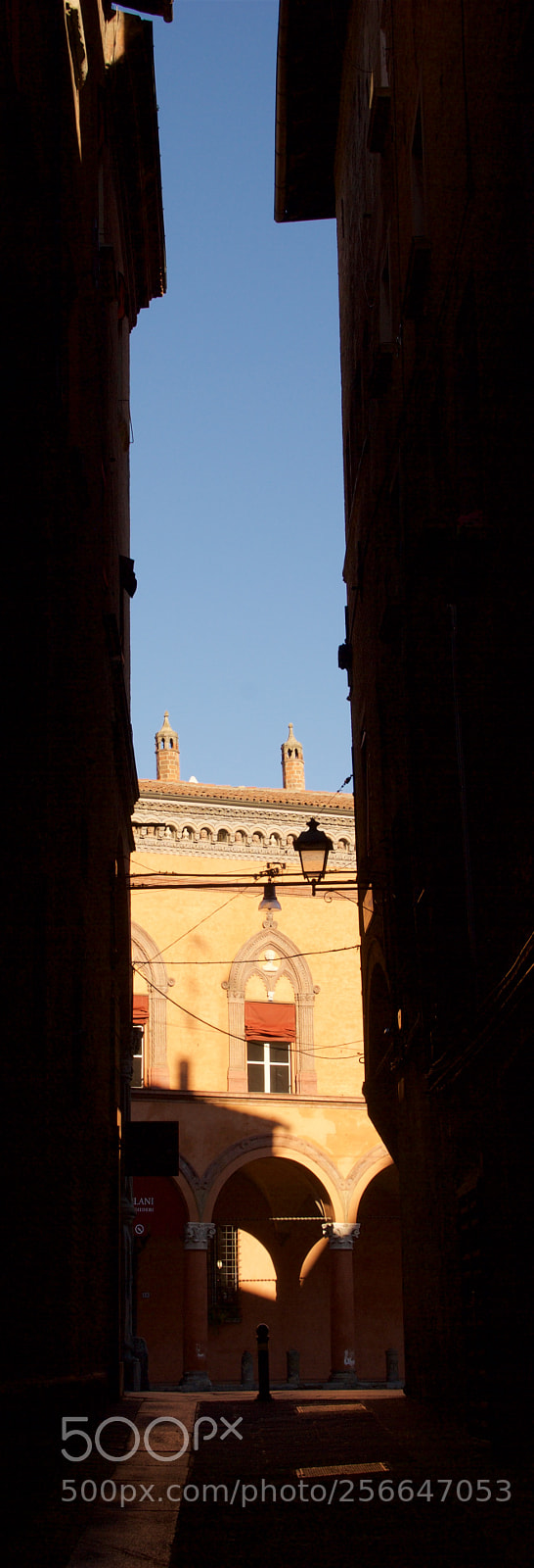 Nikon D60 sample photo. Version photography