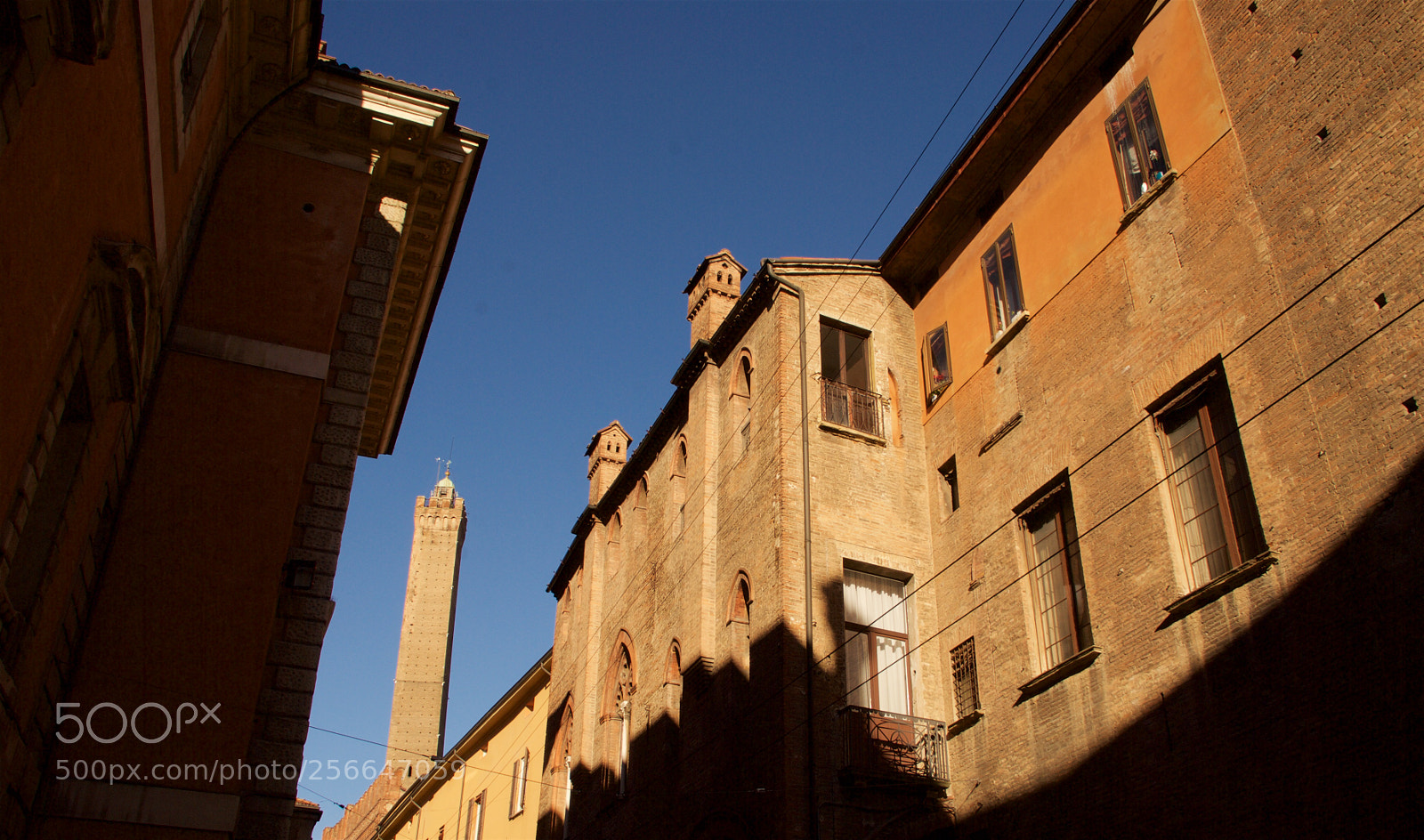 Nikon D60 sample photo. Version photography