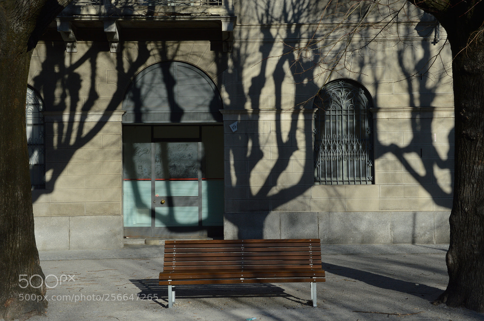 Nikon D3200 sample photo. 19 photography