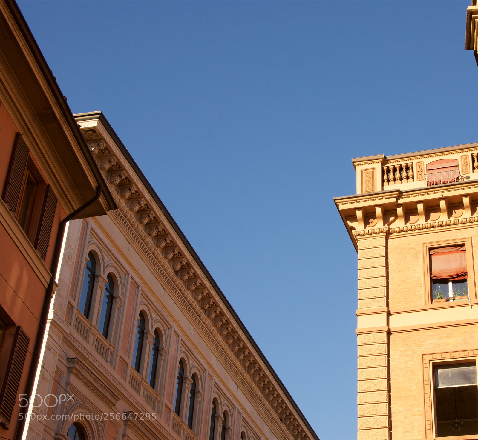 Nikon D60 sample photo. Version photography