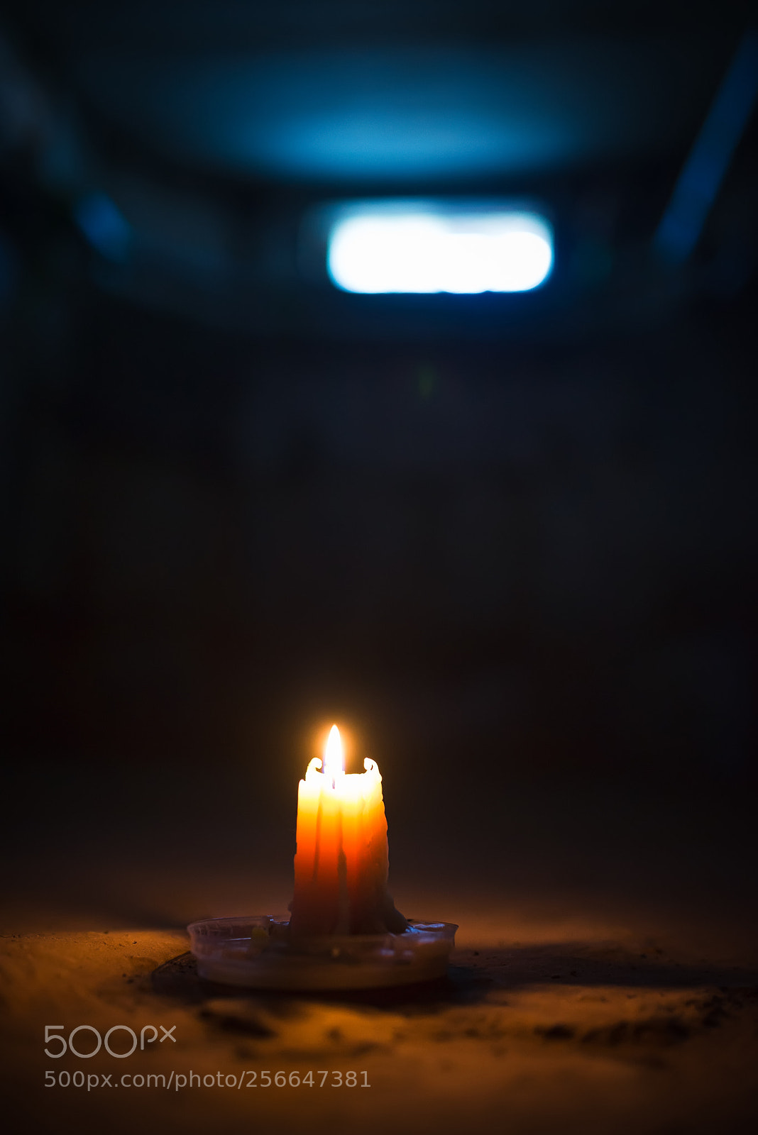 Nikon D610 sample photo. Untitled photography