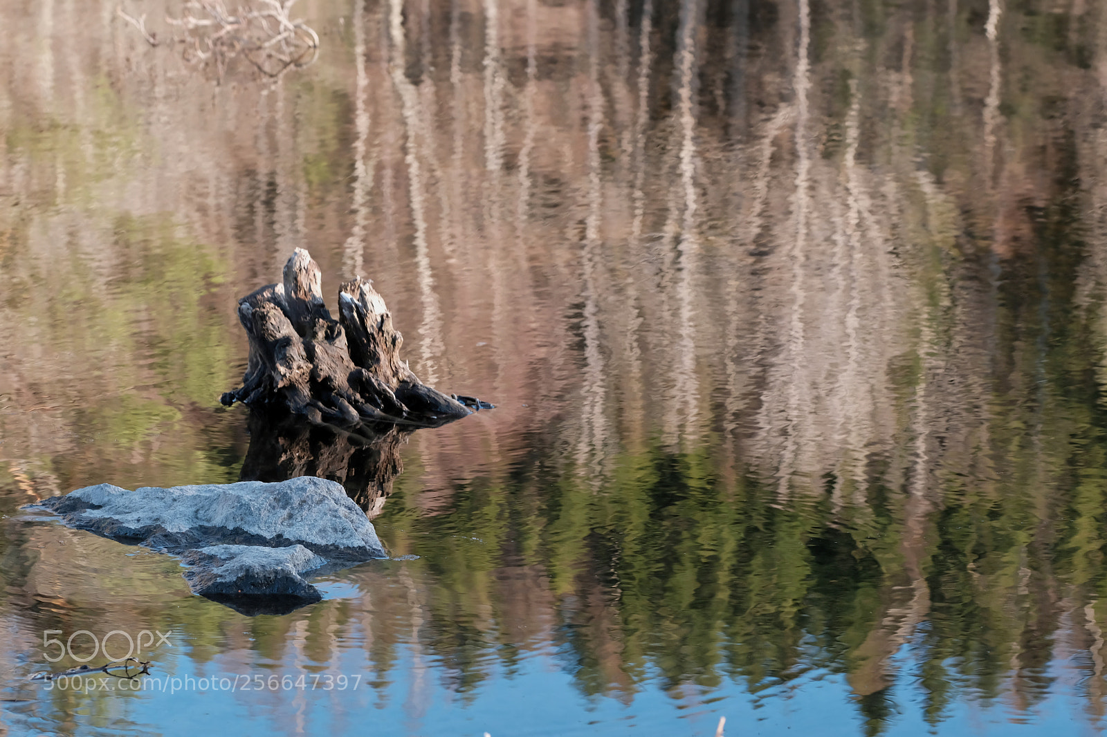 Fujifilm X-T2 sample photo. Pond photography