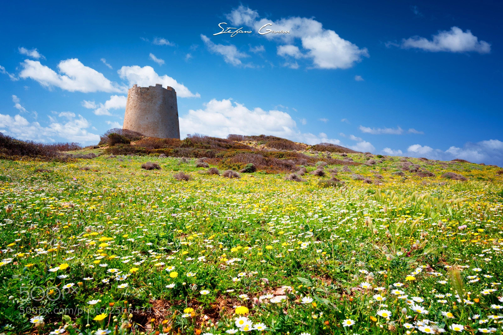 Nikon D810 sample photo. The tower of piscinni' photography
