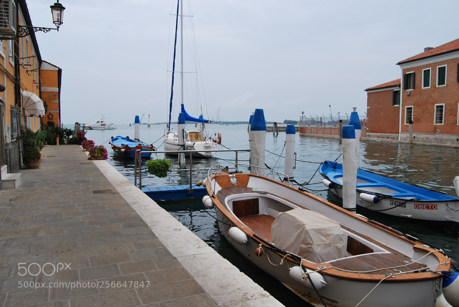 Nikon D60 sample photo. Version photography