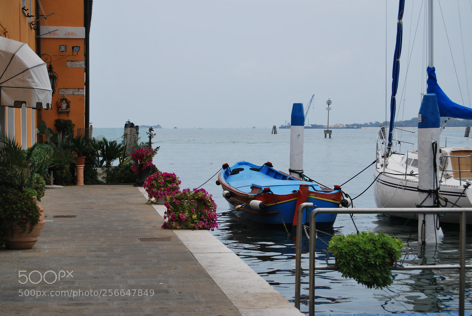 Nikon D60 sample photo. Version photography