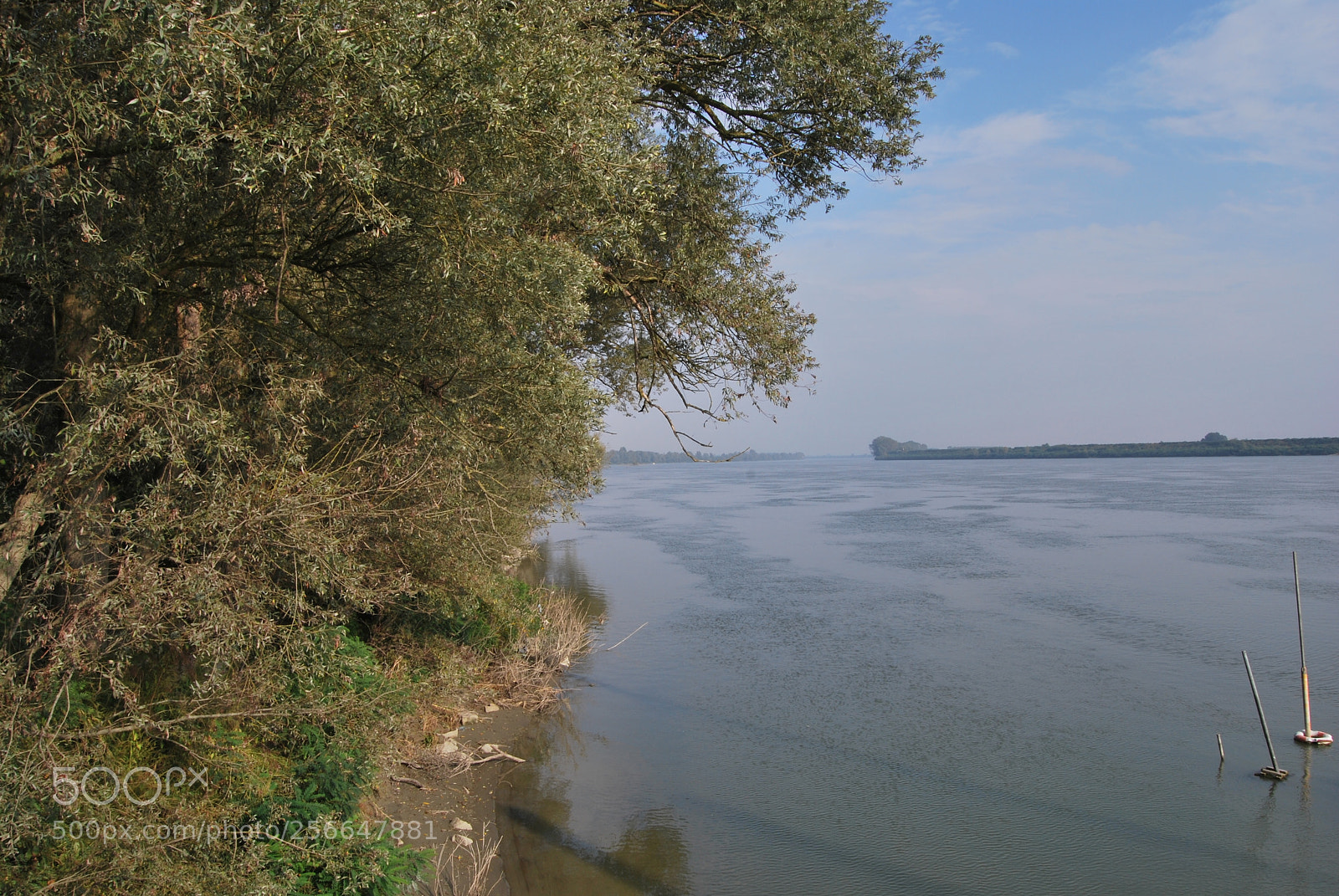 Nikon D60 sample photo. Version photography