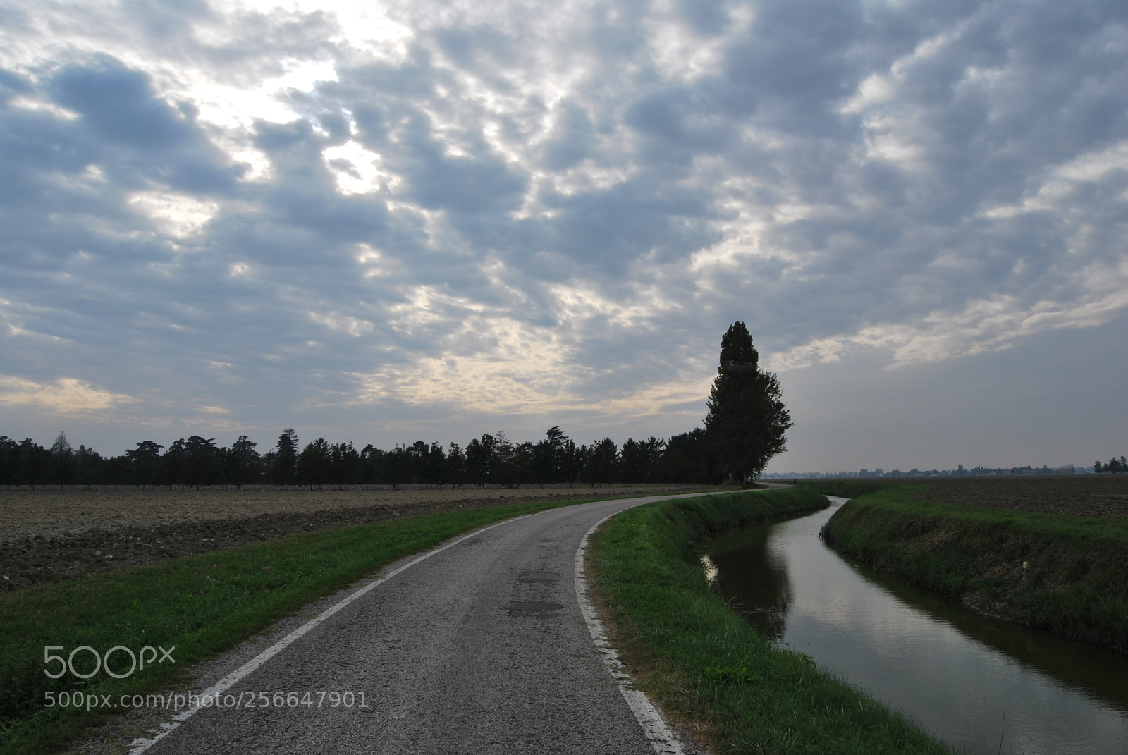 Nikon D60 sample photo. Version photography