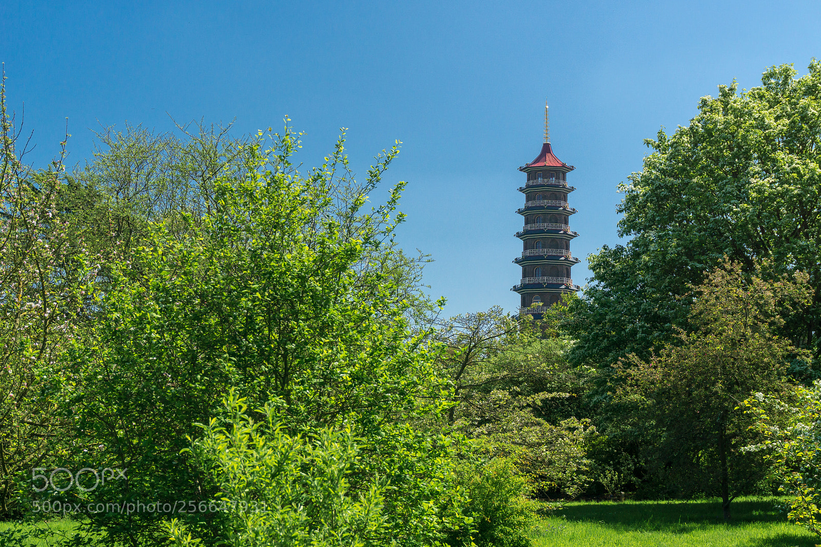 Sony a6000 sample photo. The pagoda, kew gardens photography
