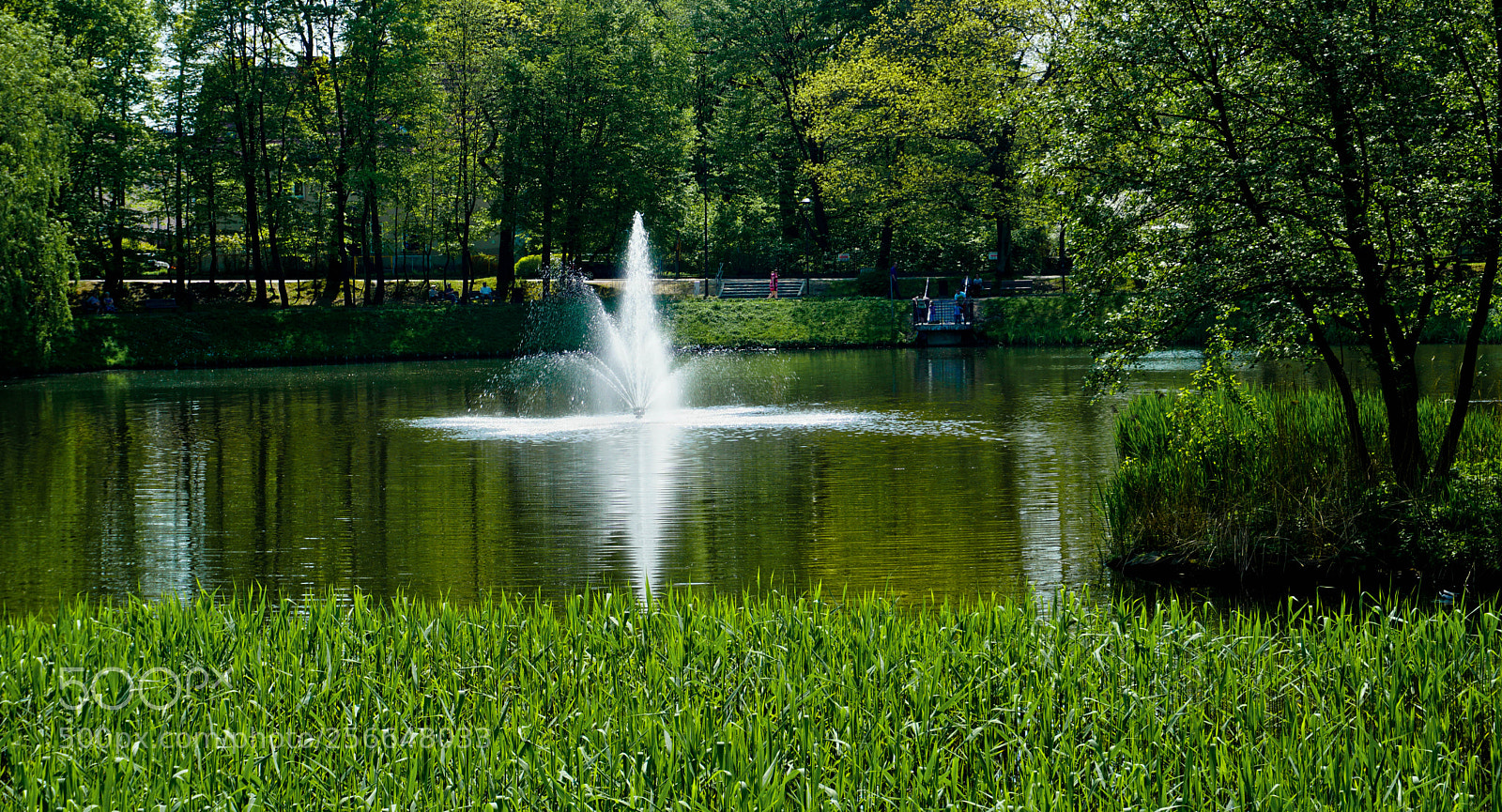 Sony a6000 sample photo. Jakobowa park - olsztyn photography