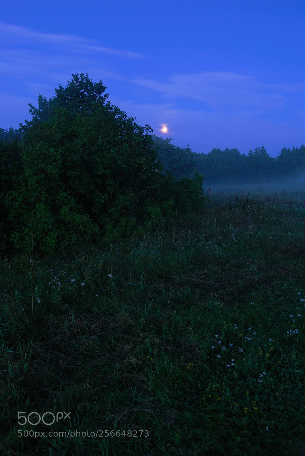 Nikon D80 sample photo. Summer night. photography