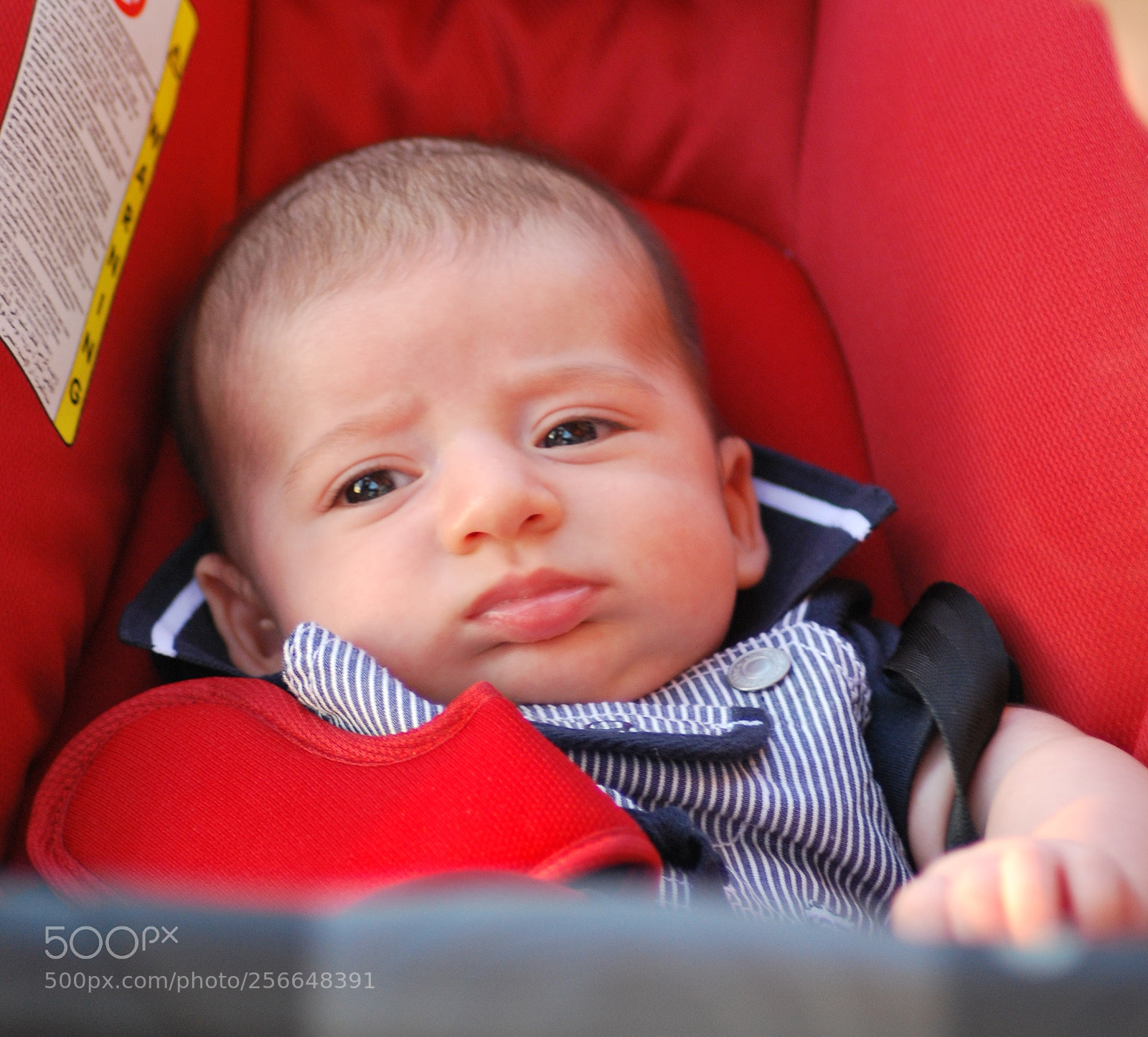 Nikon D60 sample photo. Version photography