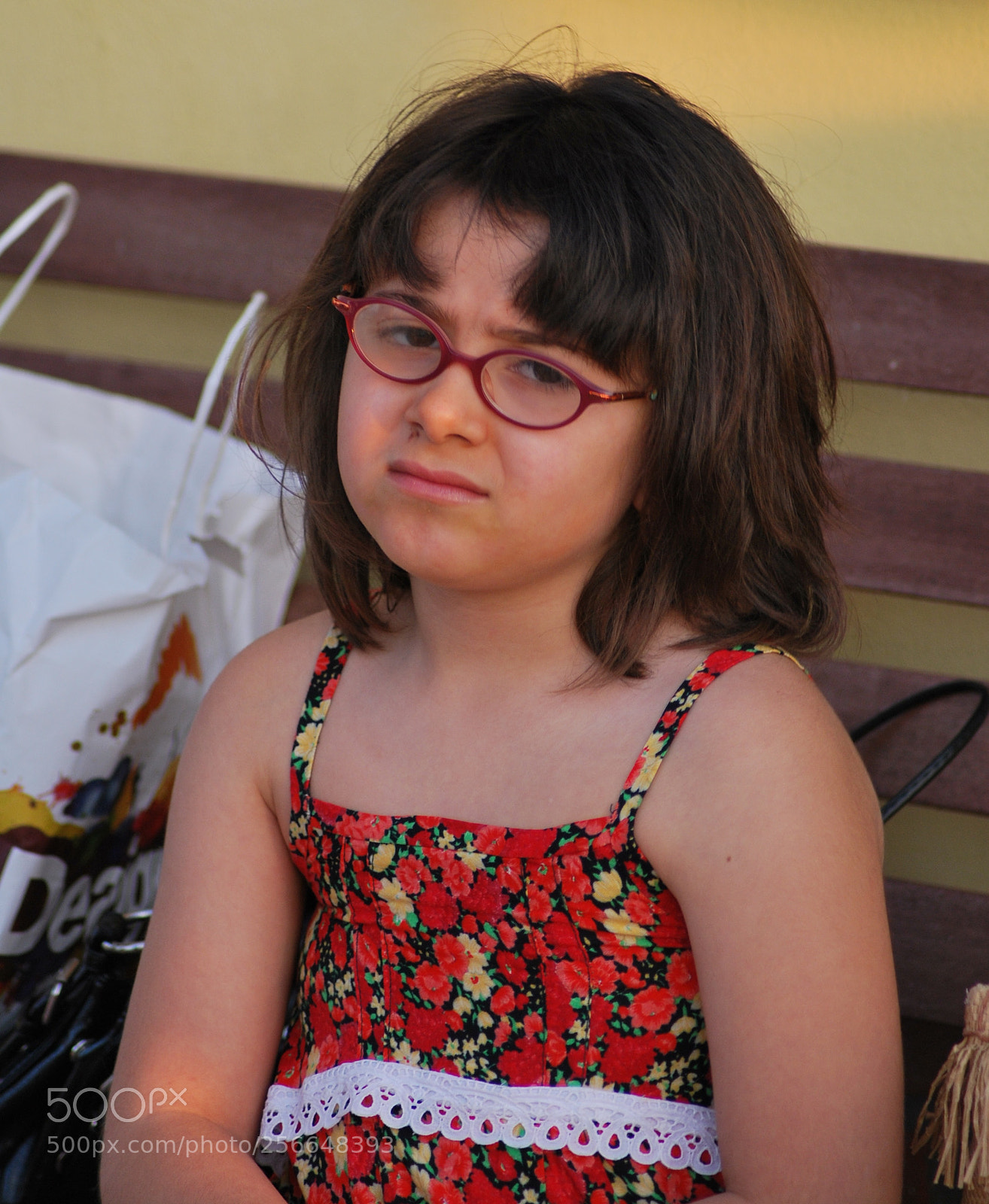 Nikon D60 sample photo. Version photography