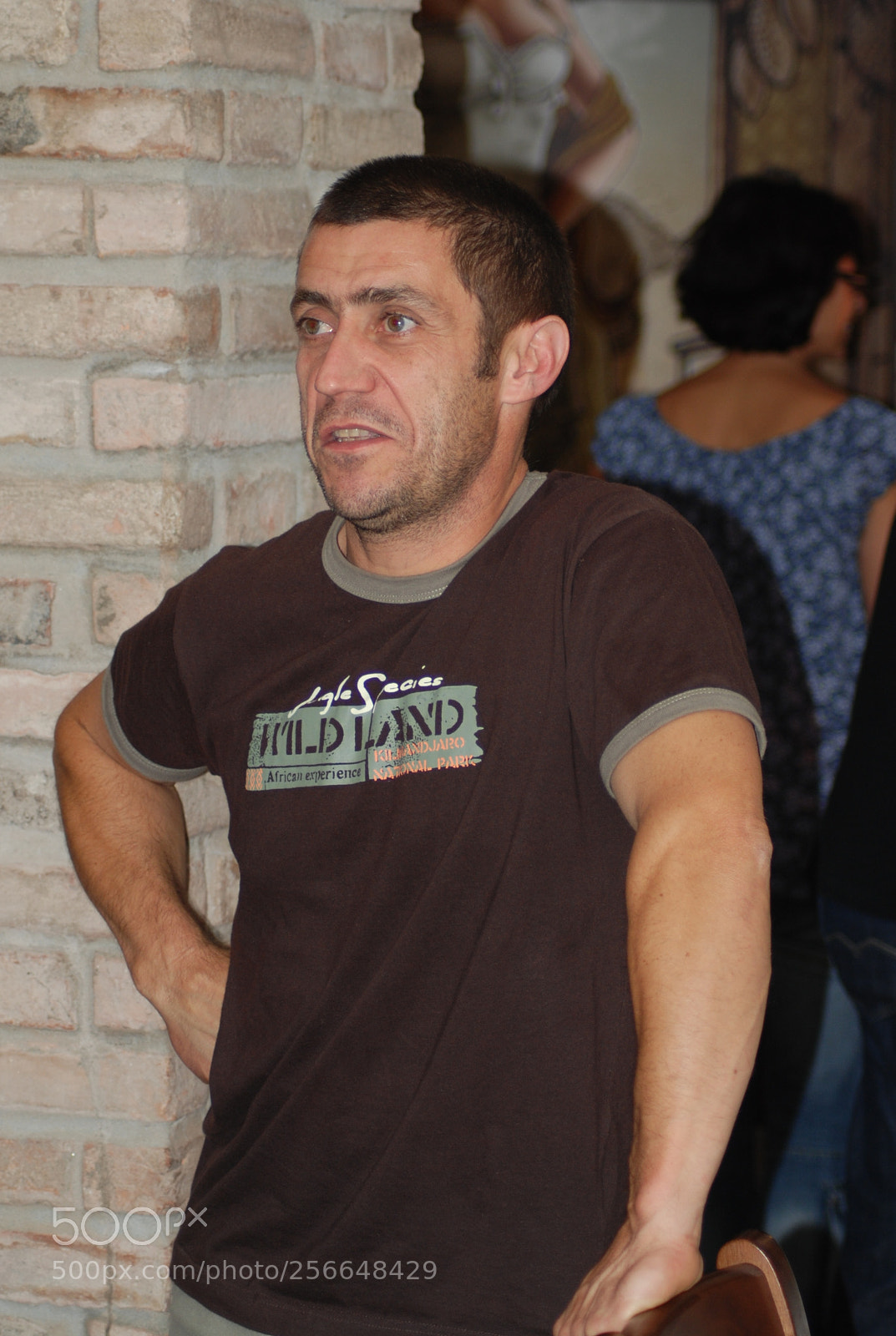 Nikon D60 sample photo. Version photography