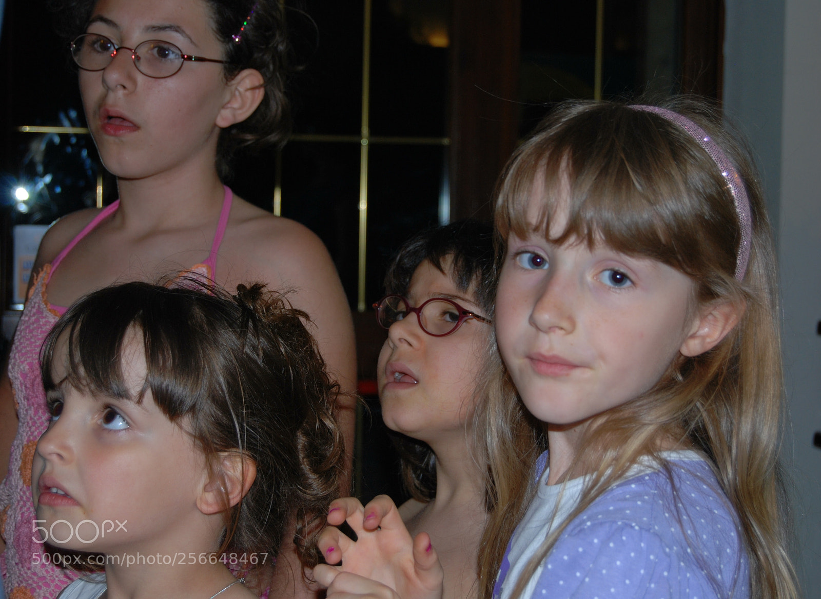 Nikon D60 sample photo. Version photography